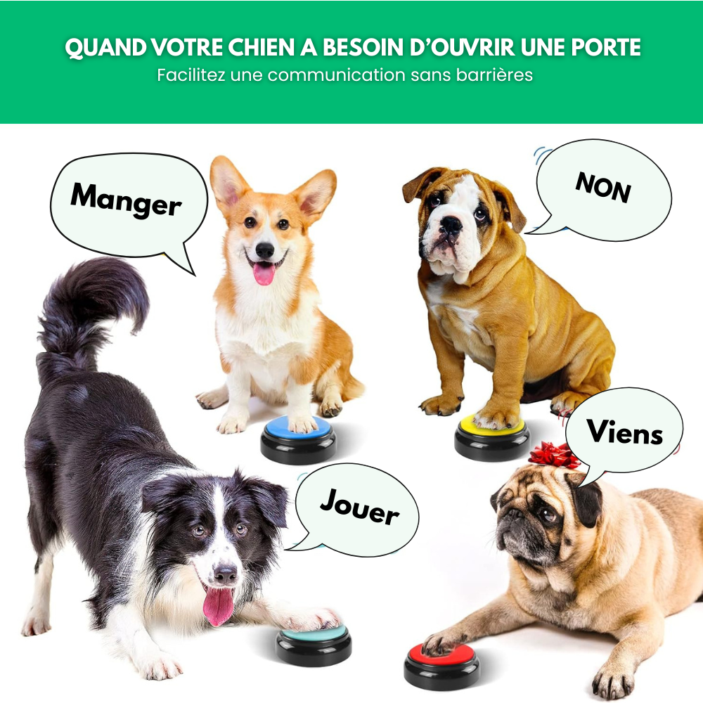 VoiceBuddy™ - Lot de 4 buzzers interactifs