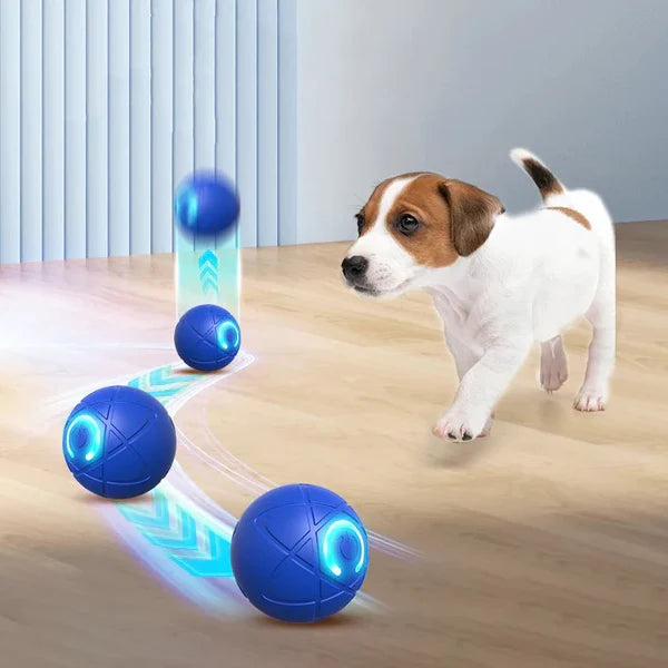 MoveoBall™ - Balle Interactive Chien & Chat