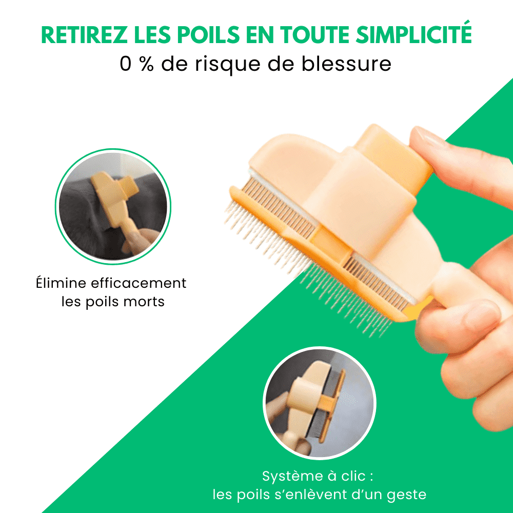 Veluto™ - Brosse Anti-Poils Chien & Chat
