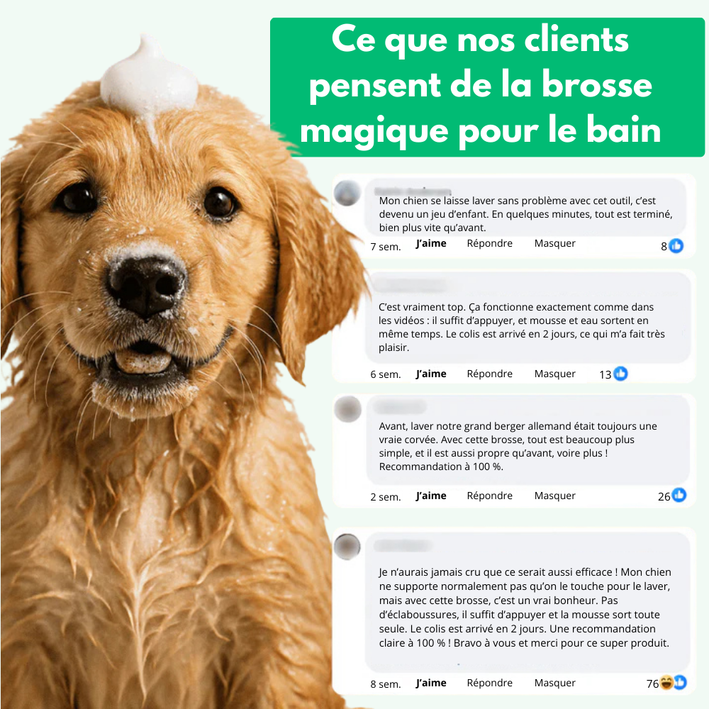 PupSoft™ - Brosse à Eau et Shampoing pour Chien