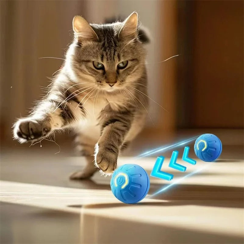 MoveoBall™ - Balle Interactive Chien & Chat