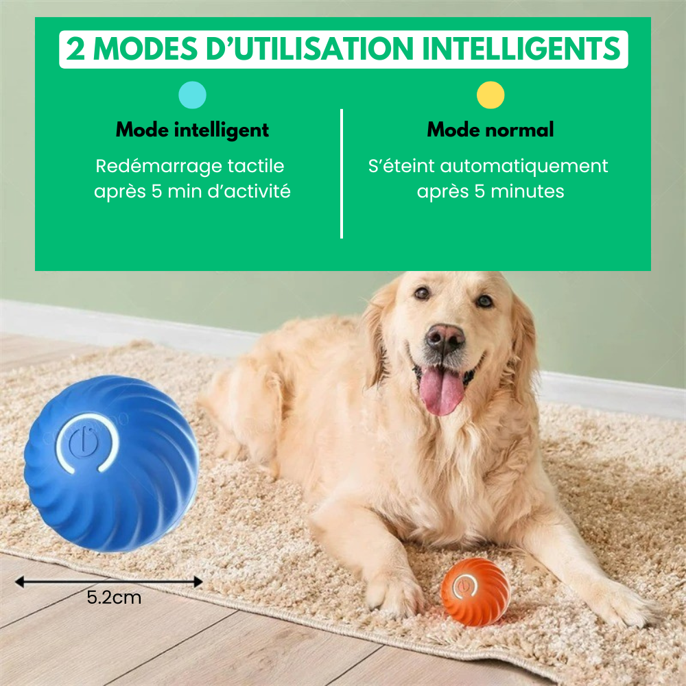MoveoBall™ - Balle Interactive Chien & Chat
