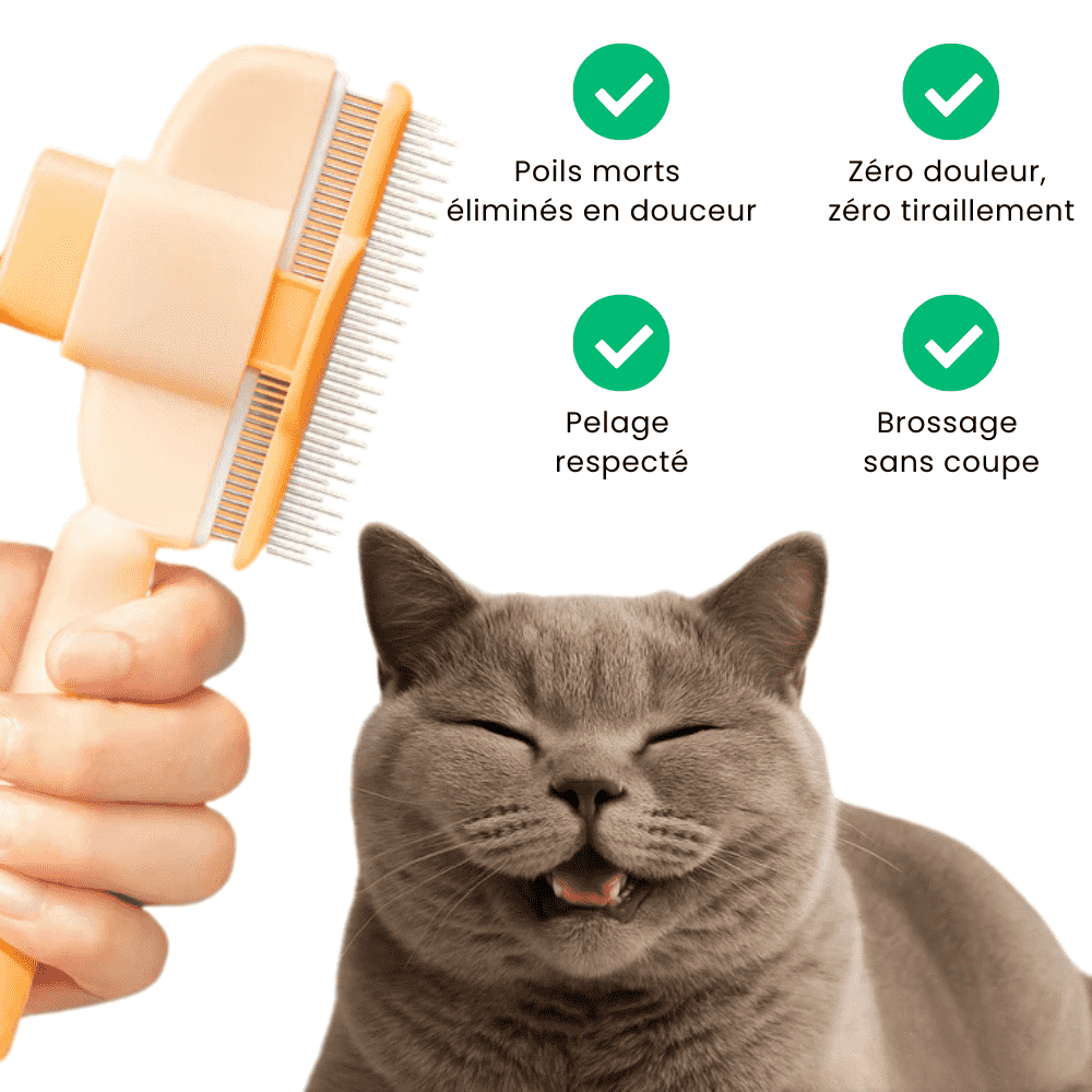 Veluto™ - Brosse Anti-Poils Chien & Chat