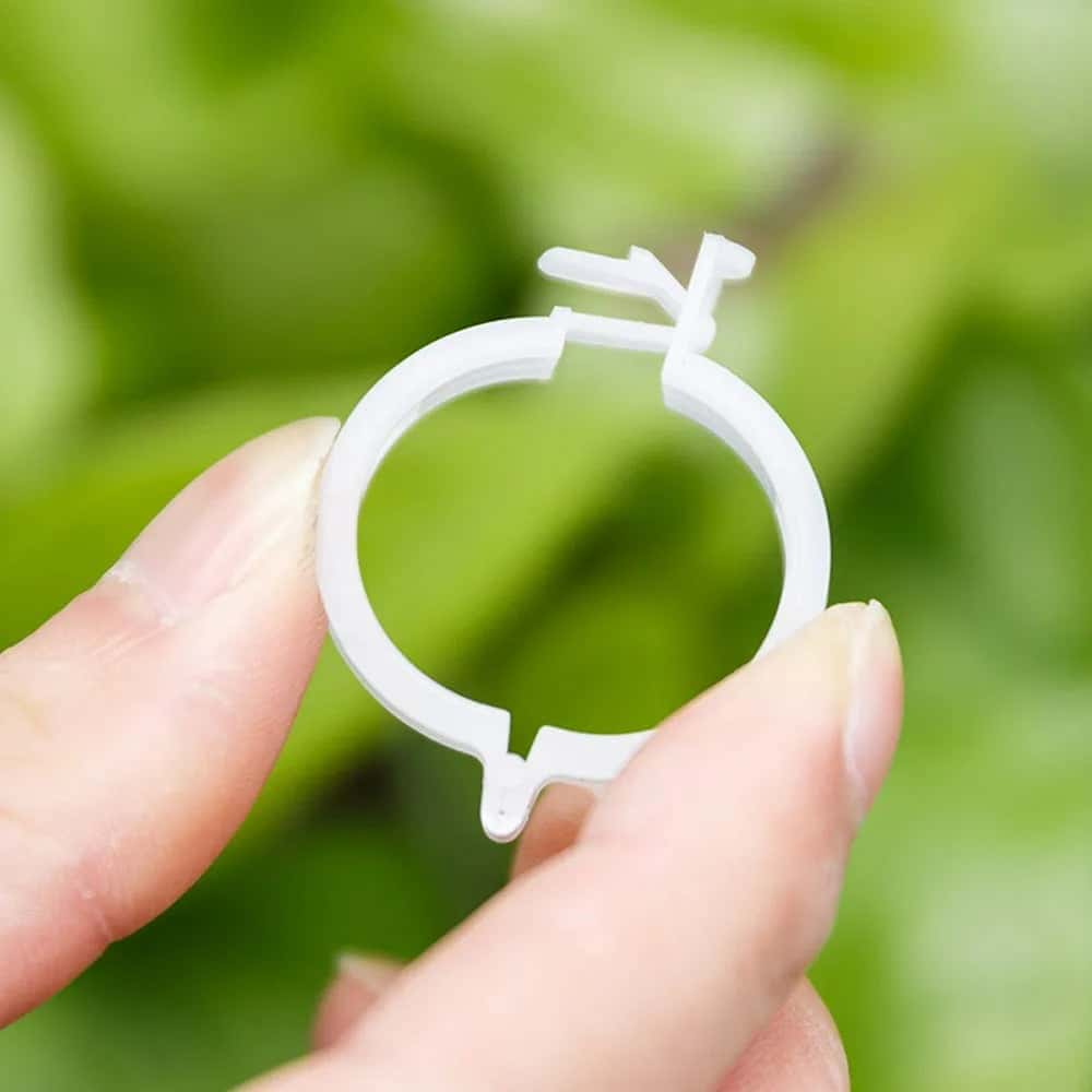 VitaClips™ - Clips d'Aide à la Croissansce