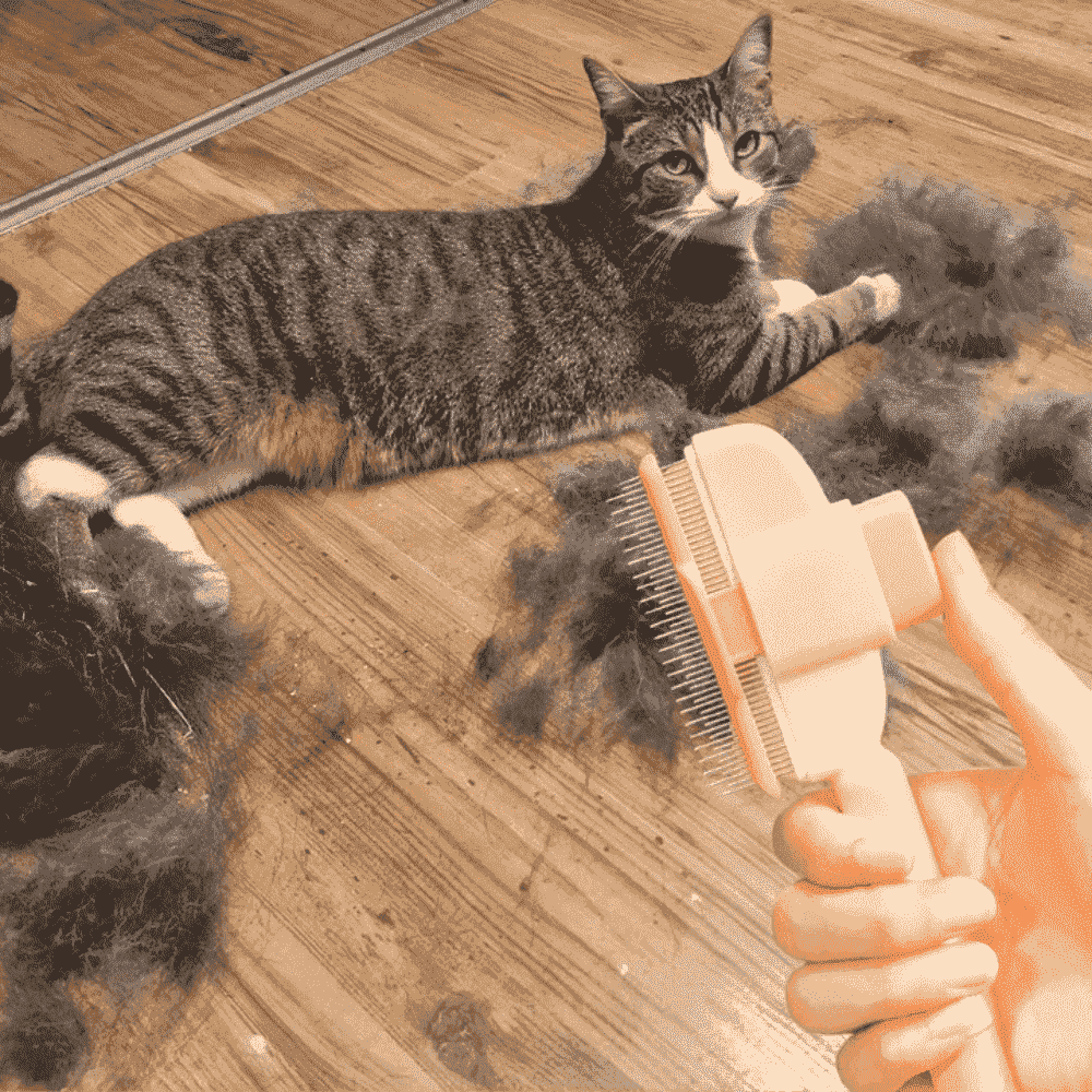 Veluto™ - Brosse Anti-Poils Chien & Chat