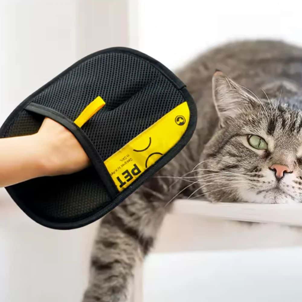 PetBuddy™ - Gants anti-poils réutilisable