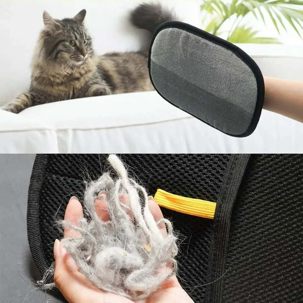 PetBuddy™ - Gants anti-poils réutilisable