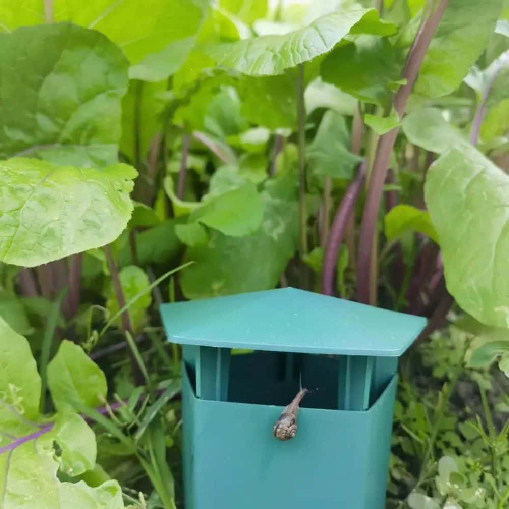 BioTrap™ - Piège à Limaces Biologique