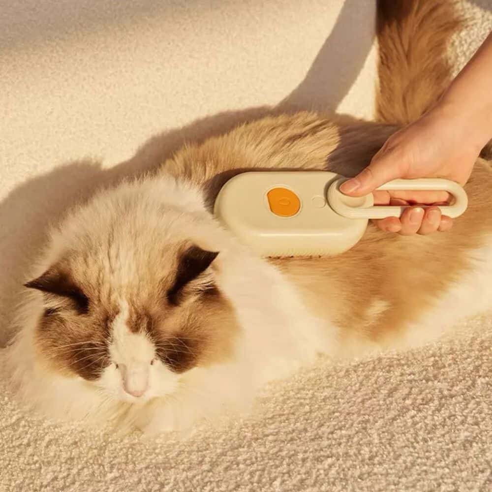 VapeoPet™ - Brosse Vapeur Nettoyage et Détente Animale