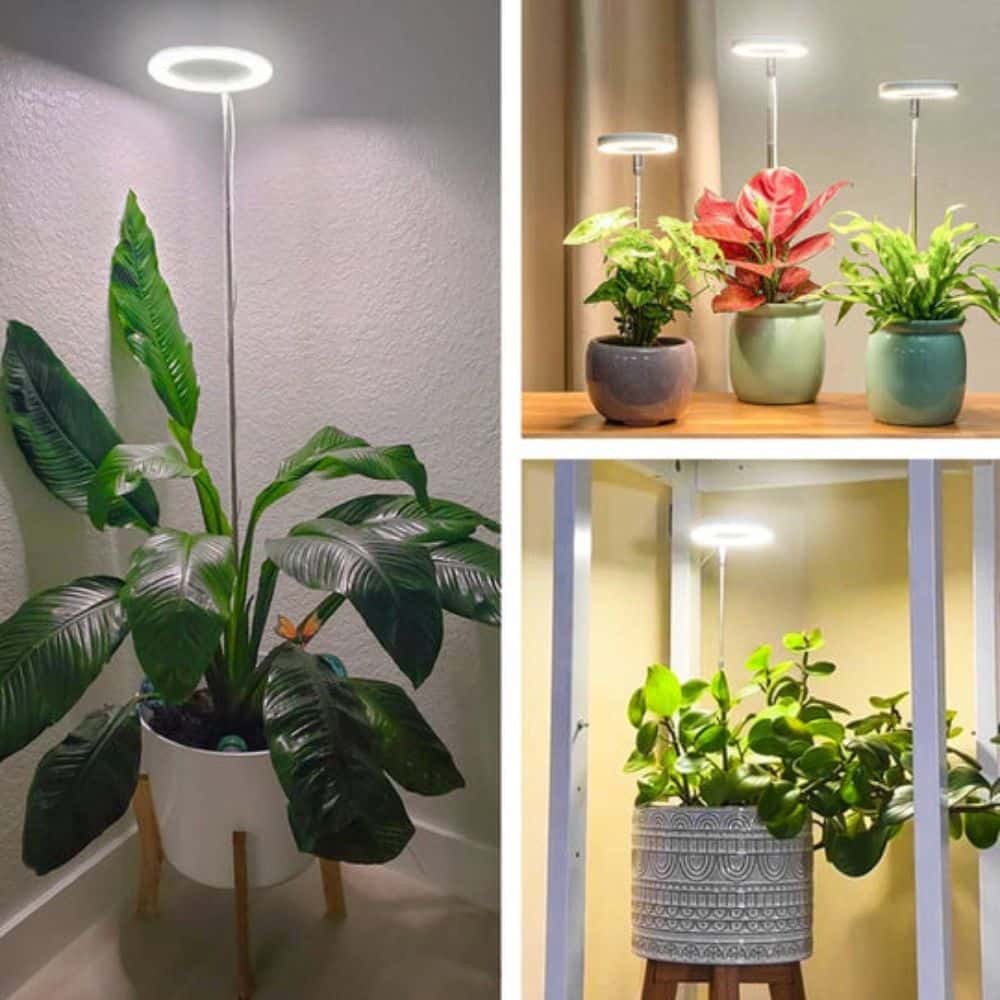 Lumelia™ - Lampe Horticole LED