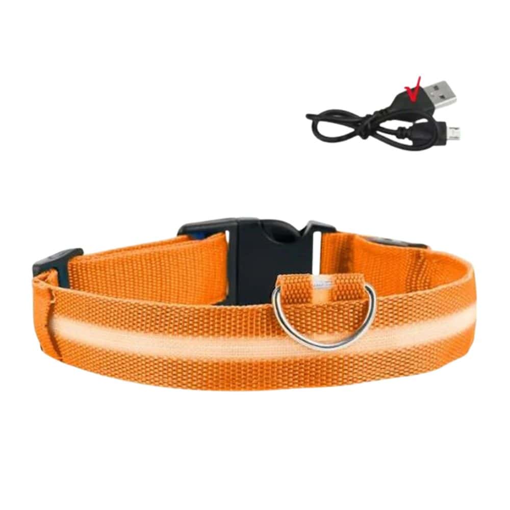 Vizidog™ - Collier Lumineux Réglable pour Chiens