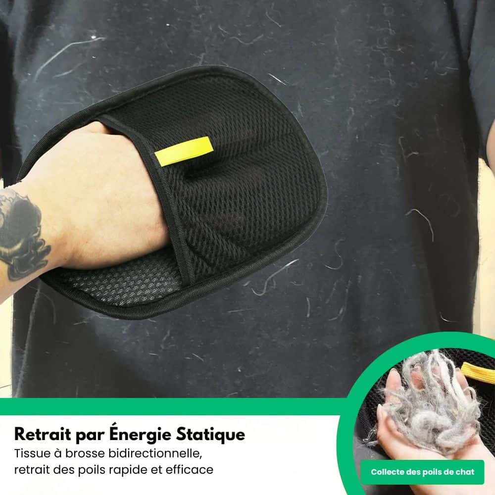 PetBuddy™ - Gants anti-poils réutilisable