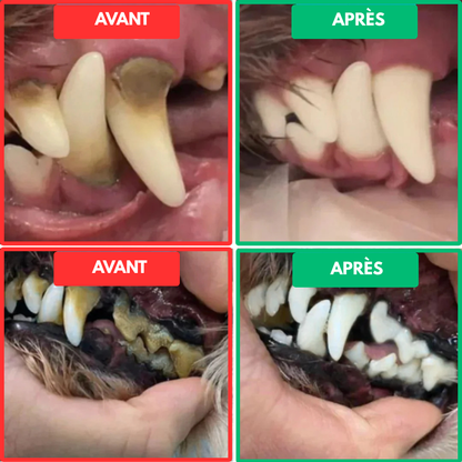 VetClean™ - Kit De Nettoyage Dentaire Pour Chien