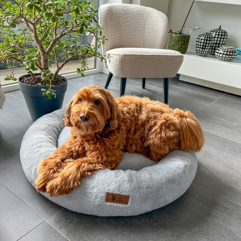 PetPerfect™ - Panier Donut Orthopédique Pour Chien