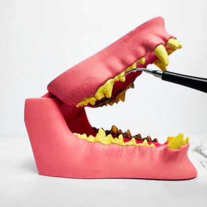 VetClean™ - Kit De Nettoyage Dentaire Pour Chien