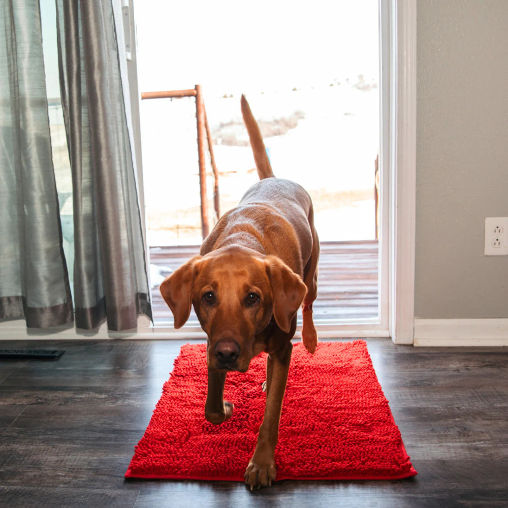 MuckyMat™ - Tapis Absorbant Pour Chiens Antidérapant & Lavable