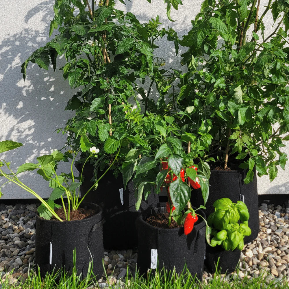 EcoPot™ - Pot de plantation en textile respirant