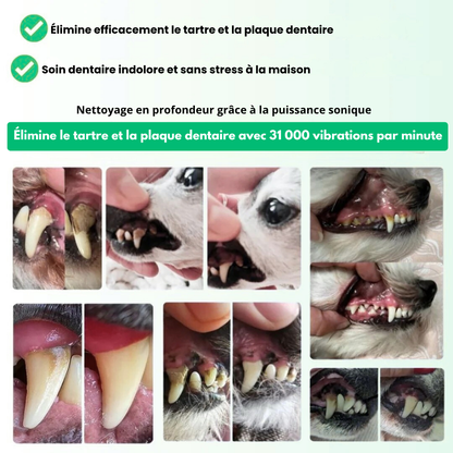 VetClean™ - Kit De Nettoyage Dentaire Pour Chien