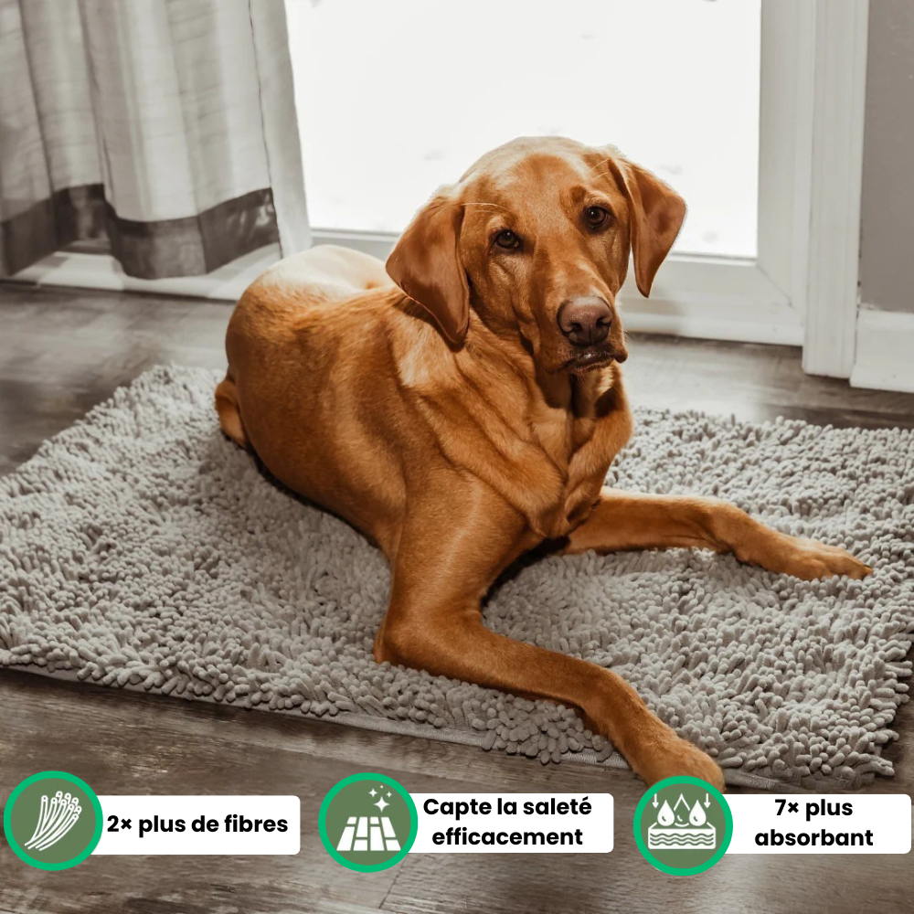 MuckyMat™ - Tapis Absorbant Pour Chiens Antidérapant & Lavable