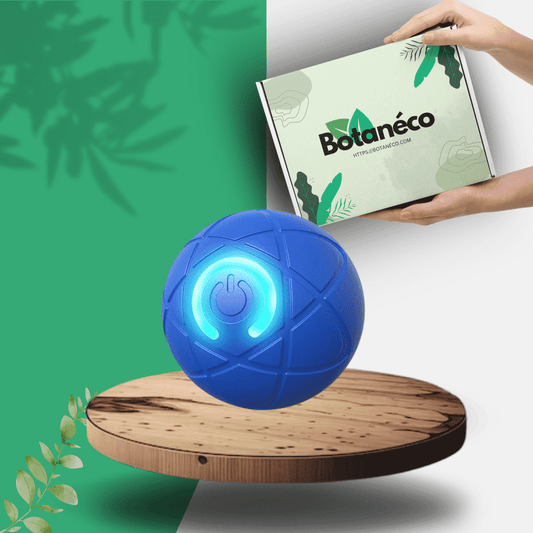 MoveoBall™ - Balle Interactive Chien & Chat