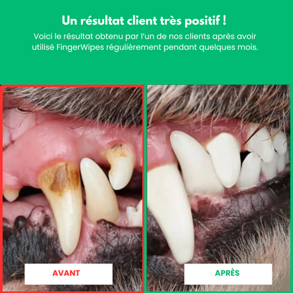Dentapet™ - Lingettes Dentaires Pour Chien Et Chat