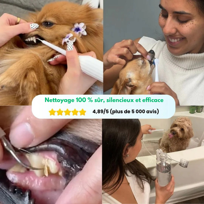 VetClean™ - Kit De Nettoyage Dentaire Pour Chien