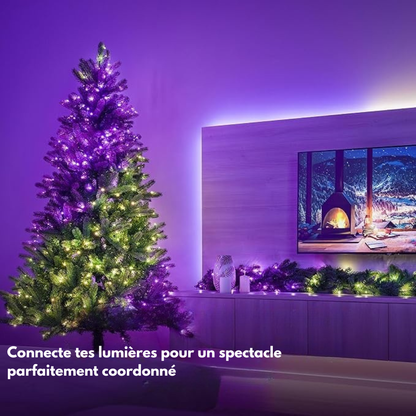 AuraLume™ - Guirlande LED Connectée