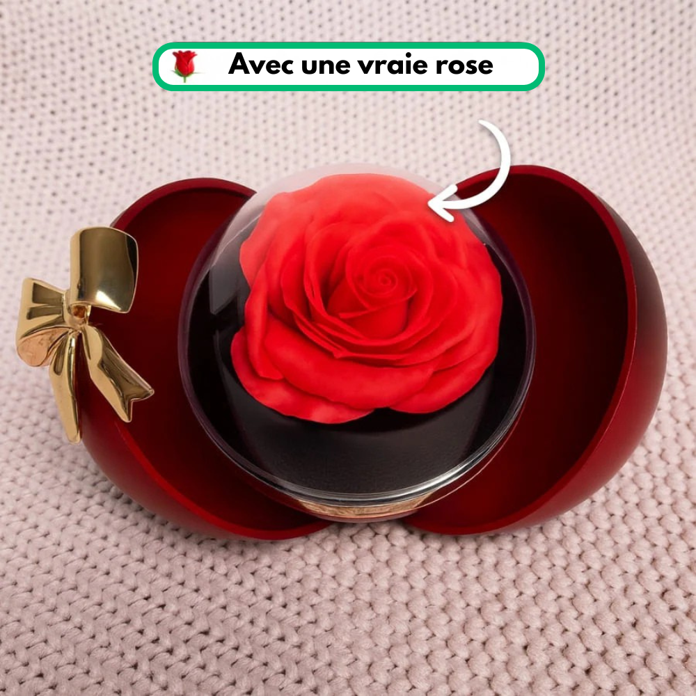 Lovenja™ - Coffret Rose Éternelle Avec Collier