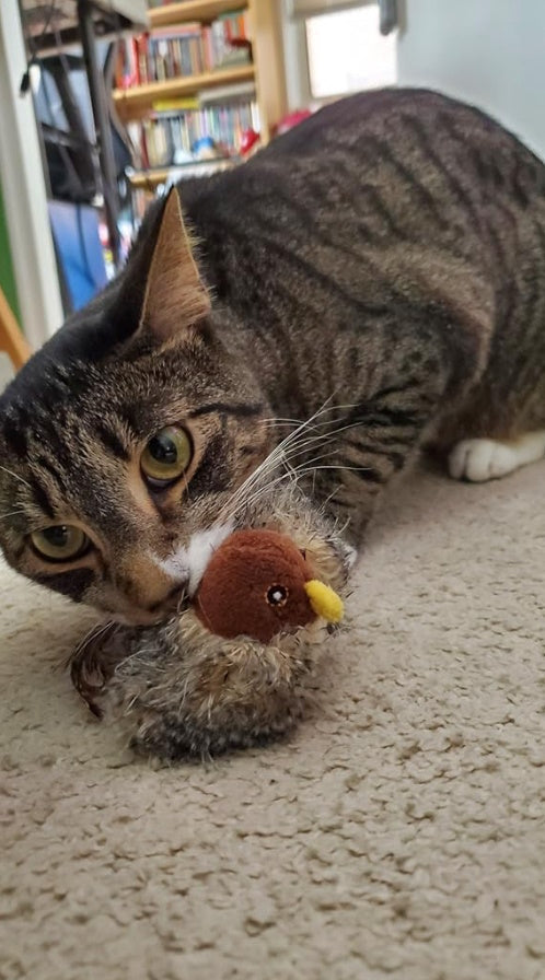 FliFlap™ - Jouet Oiseau Interactif Pour Chat