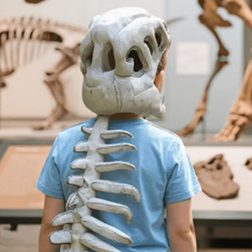 Spinaurus™ - Déguisement Dino En Peluche Pour Enfant Et Parent