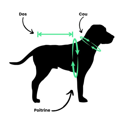 Nordik™ - Manteau Imperméable Pour Chien Avec Doublure