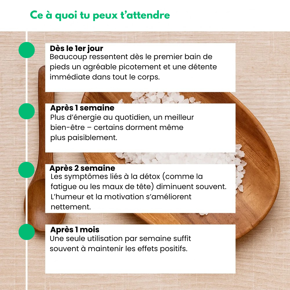 Feetox™ - Appareil Détoxifiant Ionique Pour Les Pieds