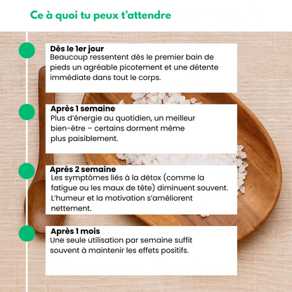 Feetox™ - Appareil Détoxifiant Ionique Pour Les Pieds
