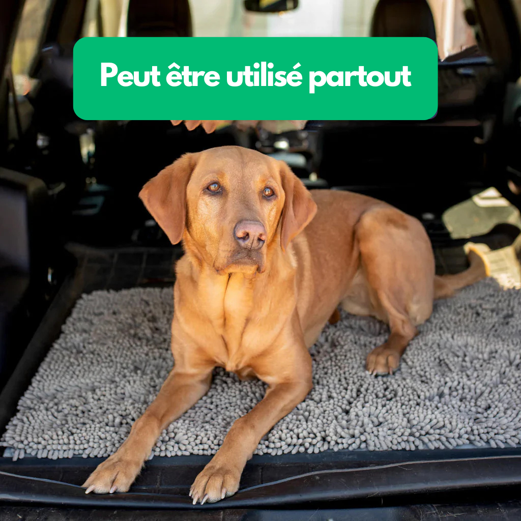 PawClean™ - Tapis Anti-Boue pour Chiens