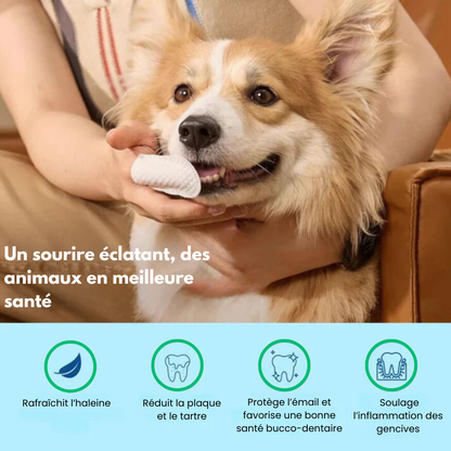 Dentapet™ - Lingettes Dentaires Pour Chien Et Chat