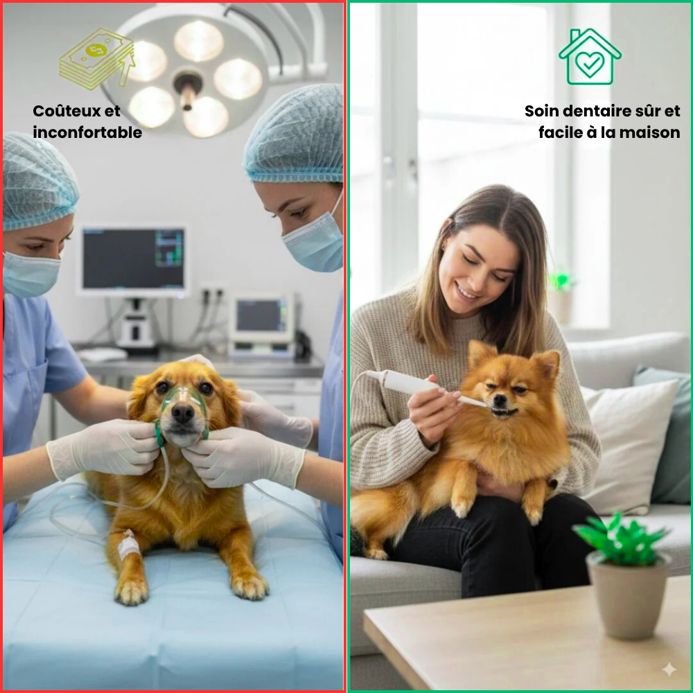 VetClean™ - Kit De Nettoyage Dentaire Pour Chien