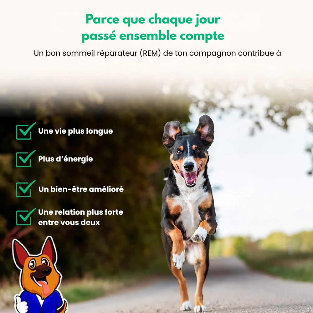 PetPerfect™ - Panier Donut Orthopédique Pour Chien