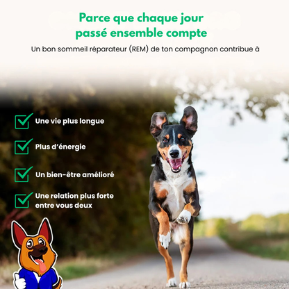 PetPerfect™ - Panier Donut Orthopédique Pour Chien