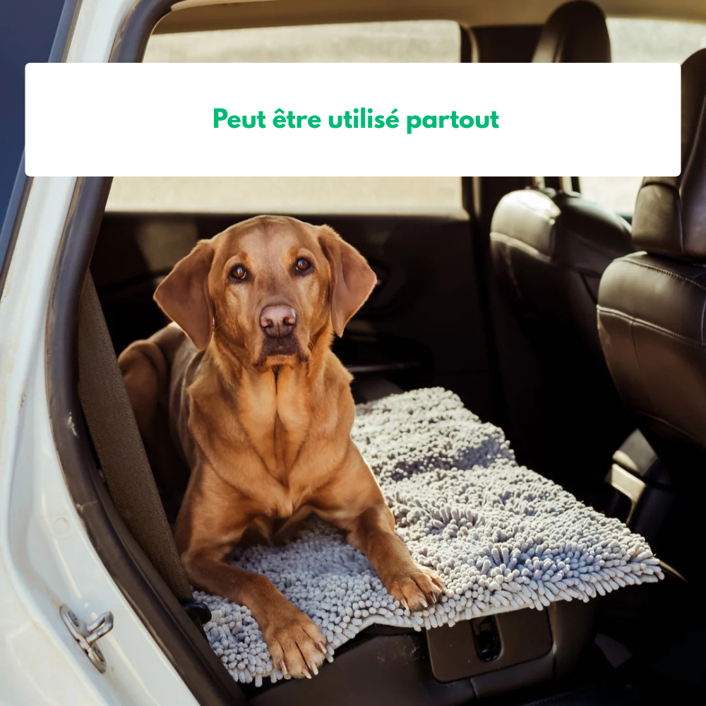 MuckyMat™ - Tapis Absorbant Pour Chiens Antidérapant & Lavable