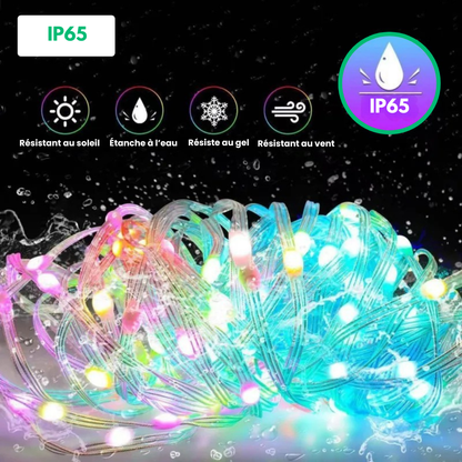 AuraLume™ - Guirlande LED Connectée