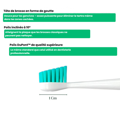 VetClean™ - Kit De Nettoyage Dentaire Pour Chien
