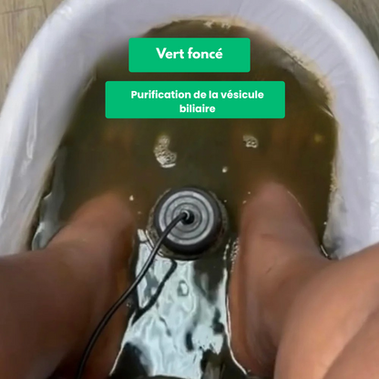 Feetox™ - Appareil Détoxifiant Ionique Pour Les Pieds