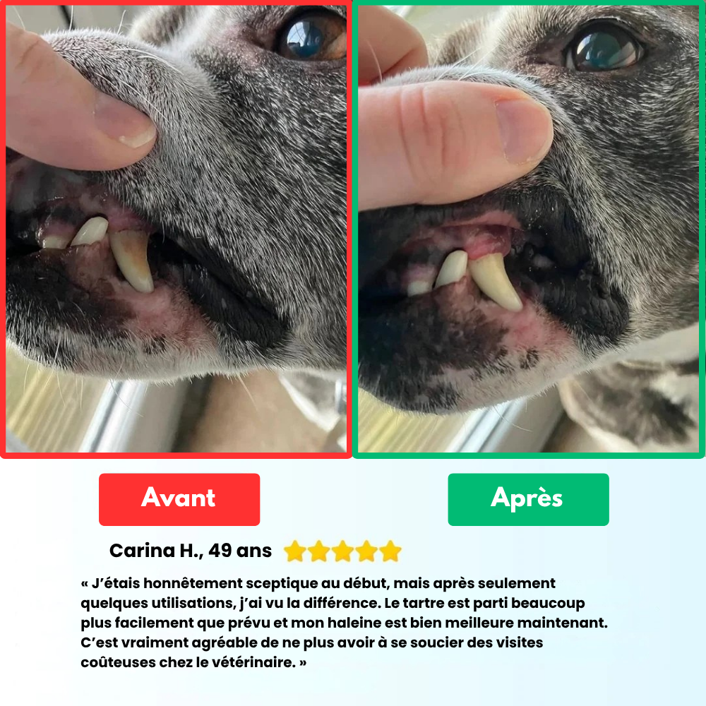 VetClean™ - Kit De Nettoyage Dentaire Pour Chien