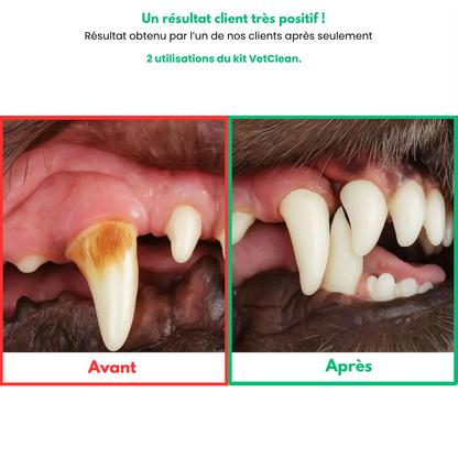 VetClean™ - Kit De Nettoyage Dentaire Pour Chien