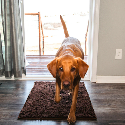 MuckyMat™ - Tapis Absorbant Pour Chiens Antidérapant & Lavable