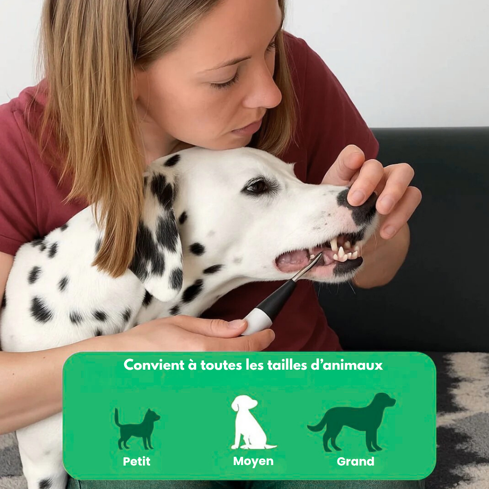 VetClean™ - Kit De Nettoyage Dentaire Pour Chien
