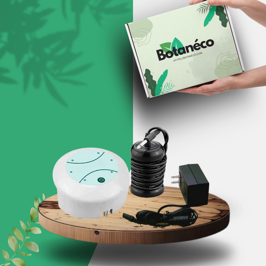 Feetox™ - Appareil Détoxifiant Ionique Pour Les Pieds