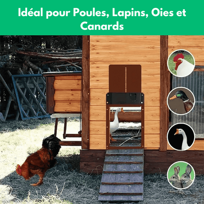 Poultronic™ - Porte automatique pour poulailler