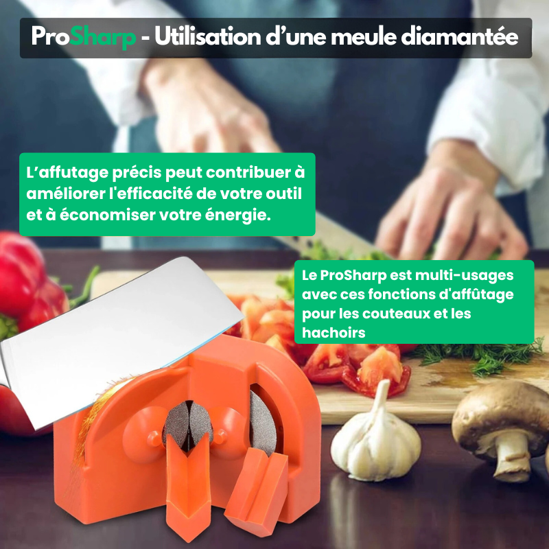 ProSharp™ - Affûteur Électrique Multiusages