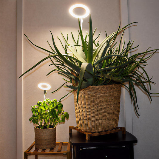 Lumelia™ - Lampe Horticole LED